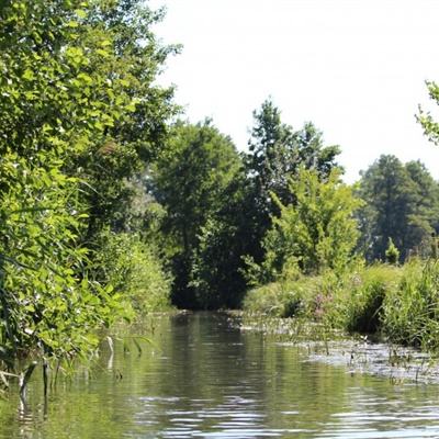 法官方报告：塞纳河水质仍未达到公开水域赛事标准